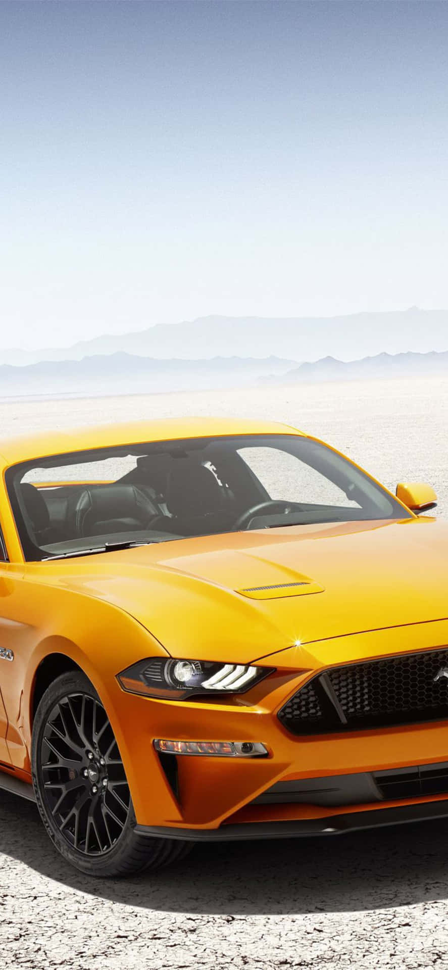 Der2019 Ford Mustang Gt Wird In Der Wüste Gezeigt. Wallpaper