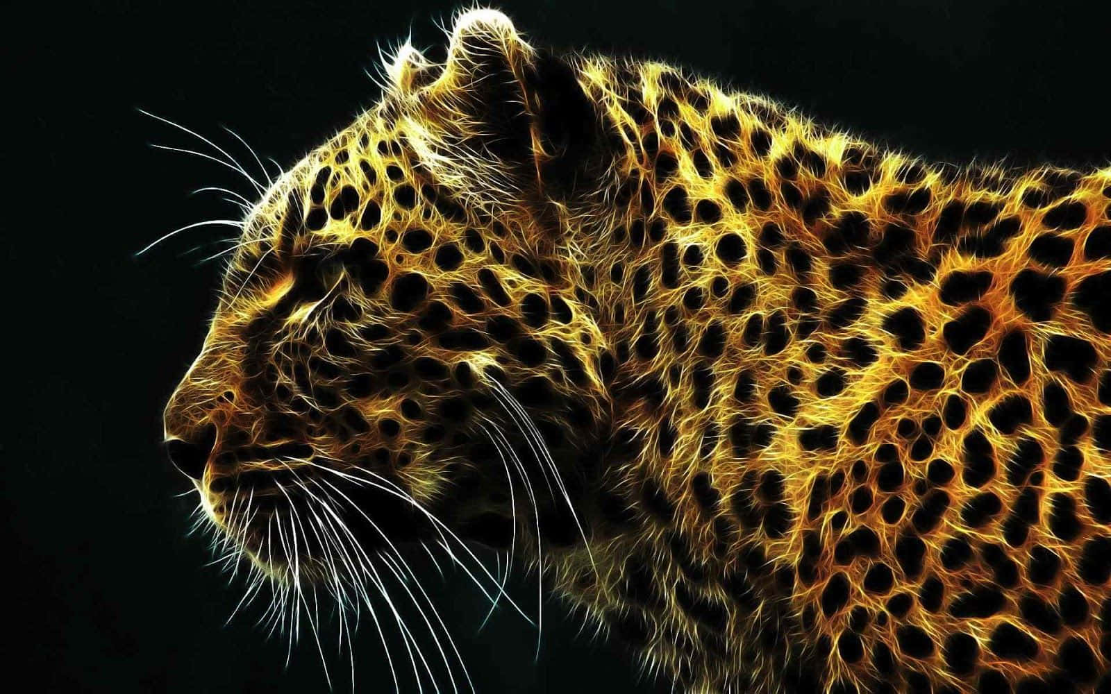 Leopard Från National Geographic Skrivbordsbakgrund Wallpaper