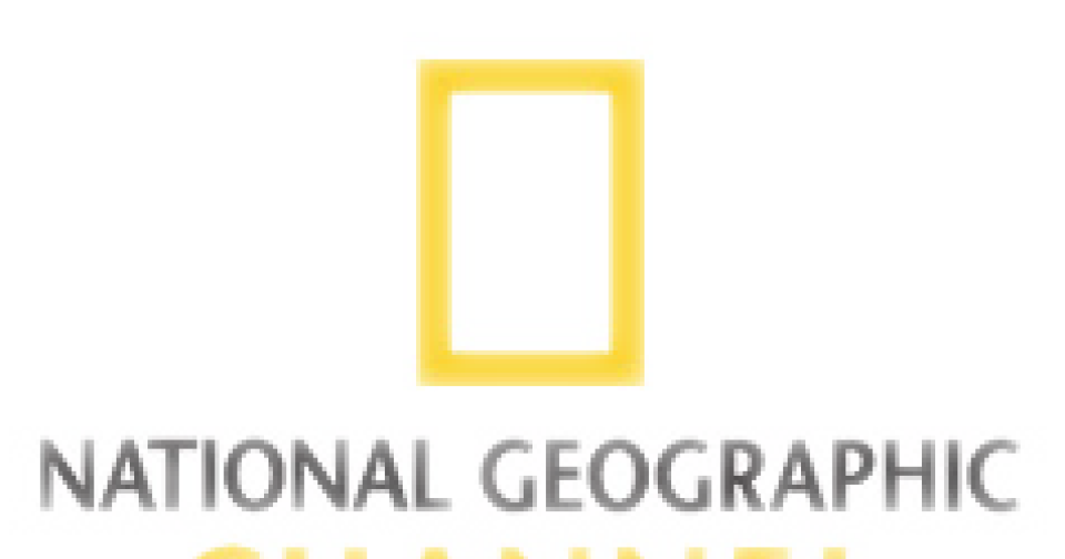 Download National Geographic Logo | Wallpapers.com