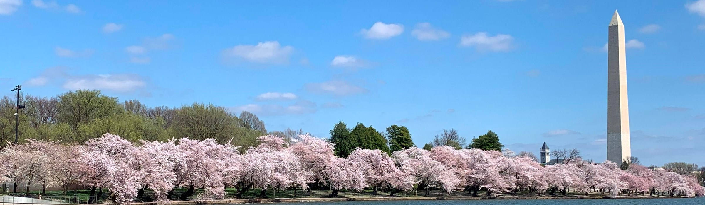 Parquenacional Con Cerezos En Flor. Fondo de pantalla
