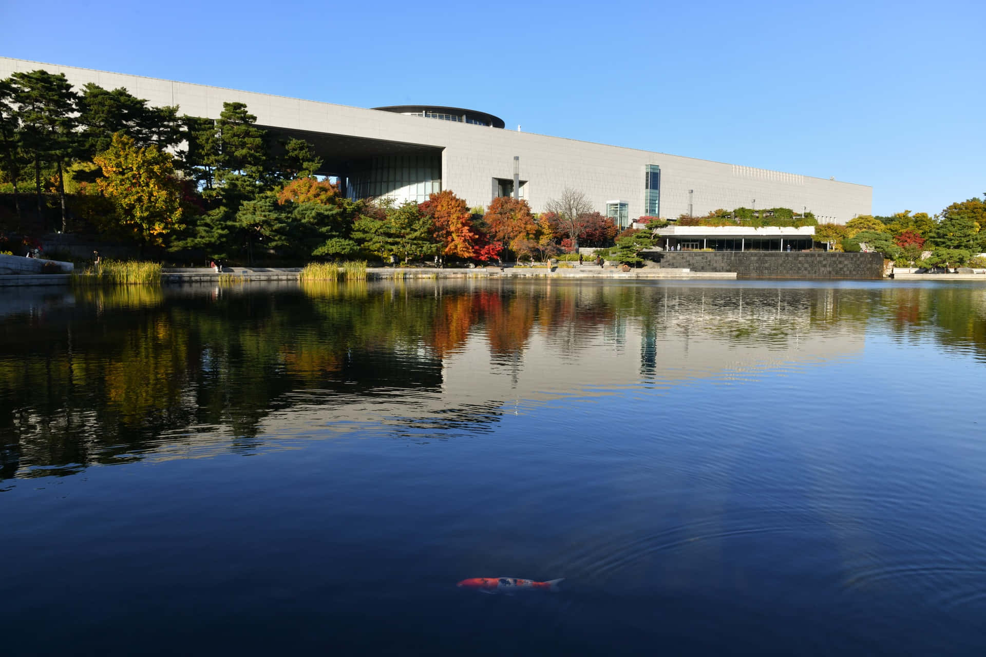 National Museumof Korea Autumn Reflection Wallpaper