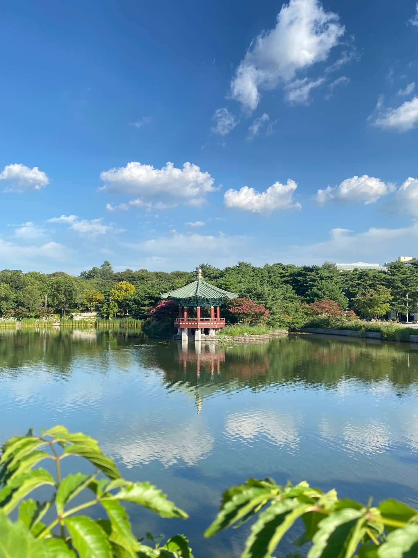 National Museumof Korea Pond Pavilion Wallpaper