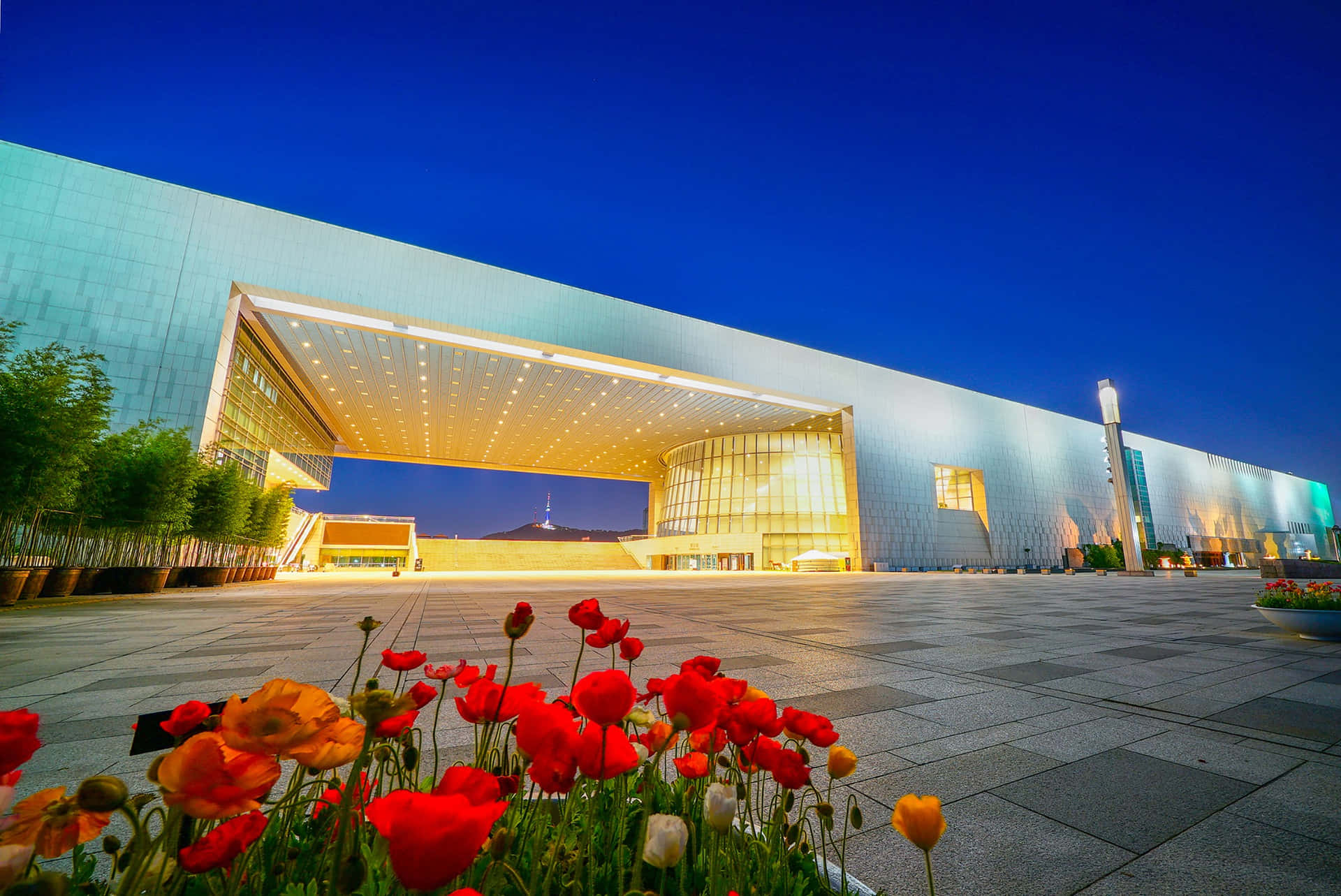 National Museumof Korea Twilight View Wallpaper