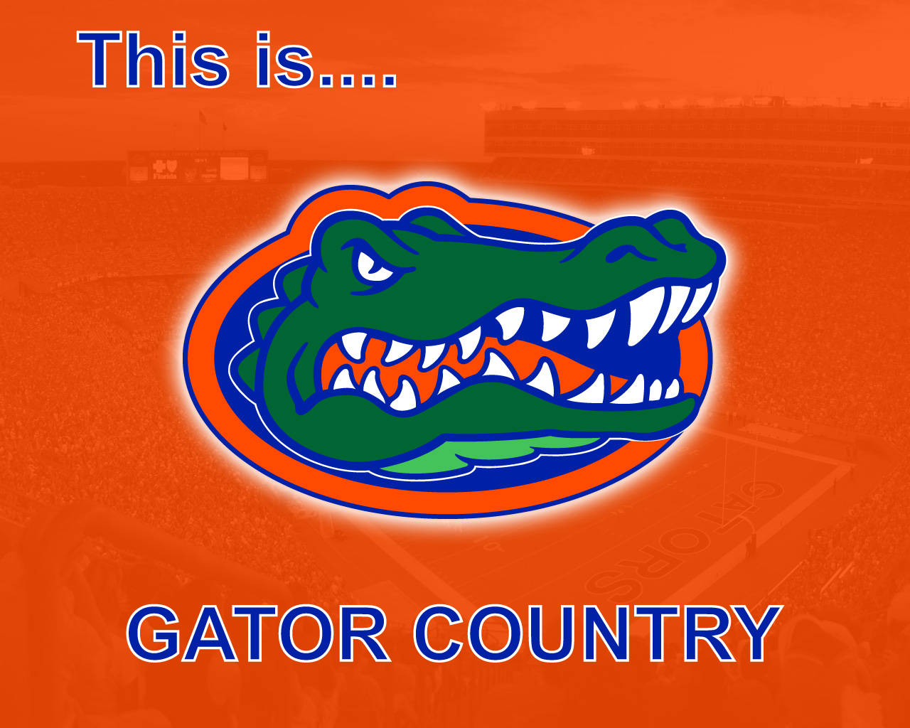 Nacionesde Florida Gators Con El Logotipo Naranja. Fondo de pantalla