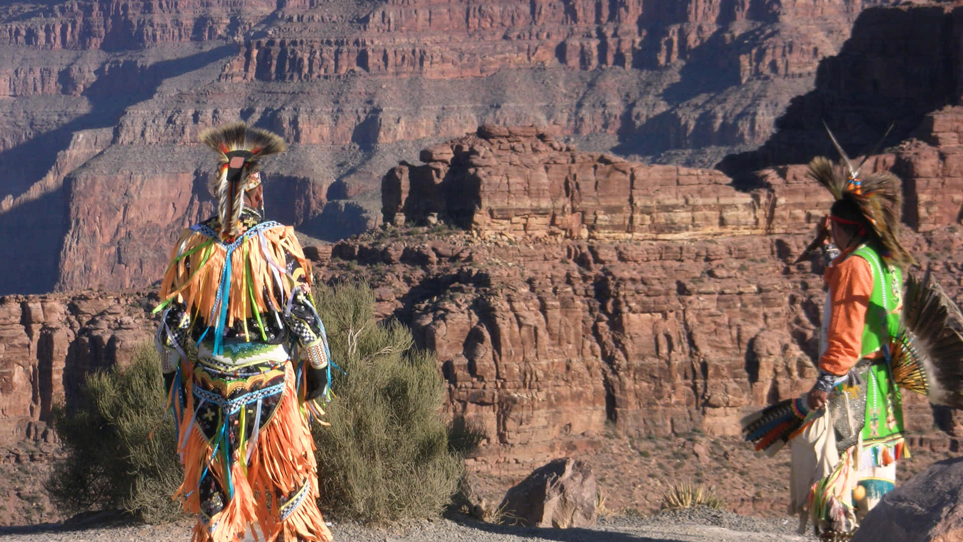 “A Native American Indian wearing traditional dress and headgear stands in the wild.” Wallpaper