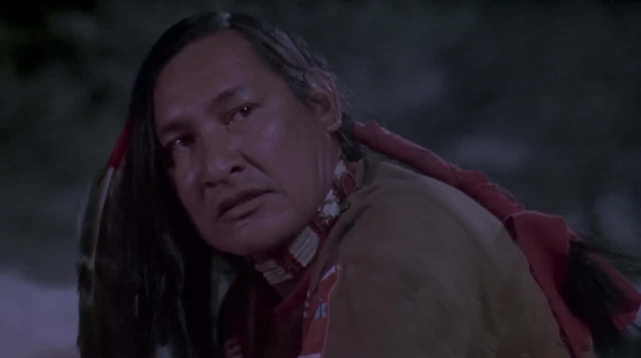 Native American Manin Traditional Attire Wallpaper