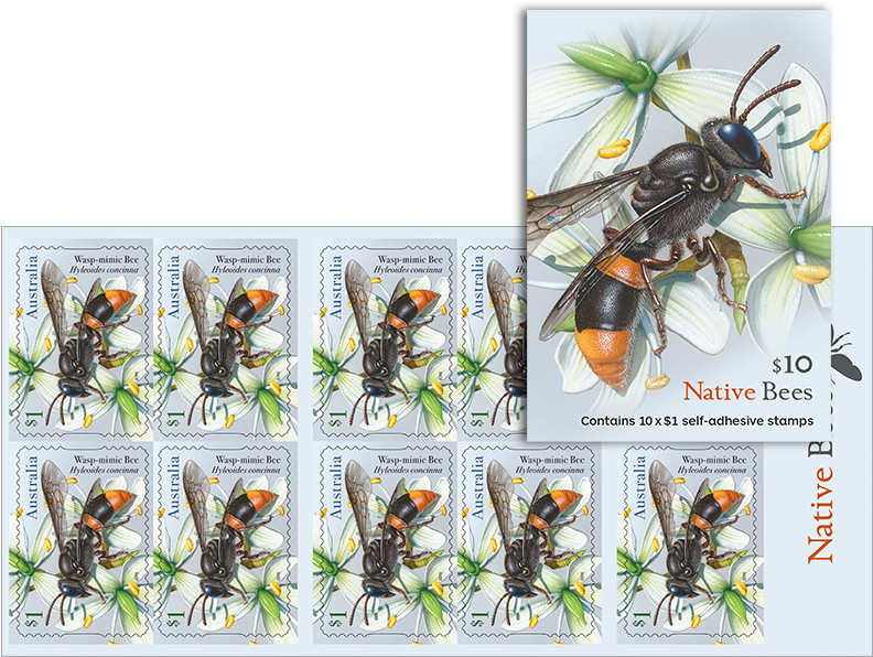 Native Bee Wasp Mimic Stamp Sheet PNG