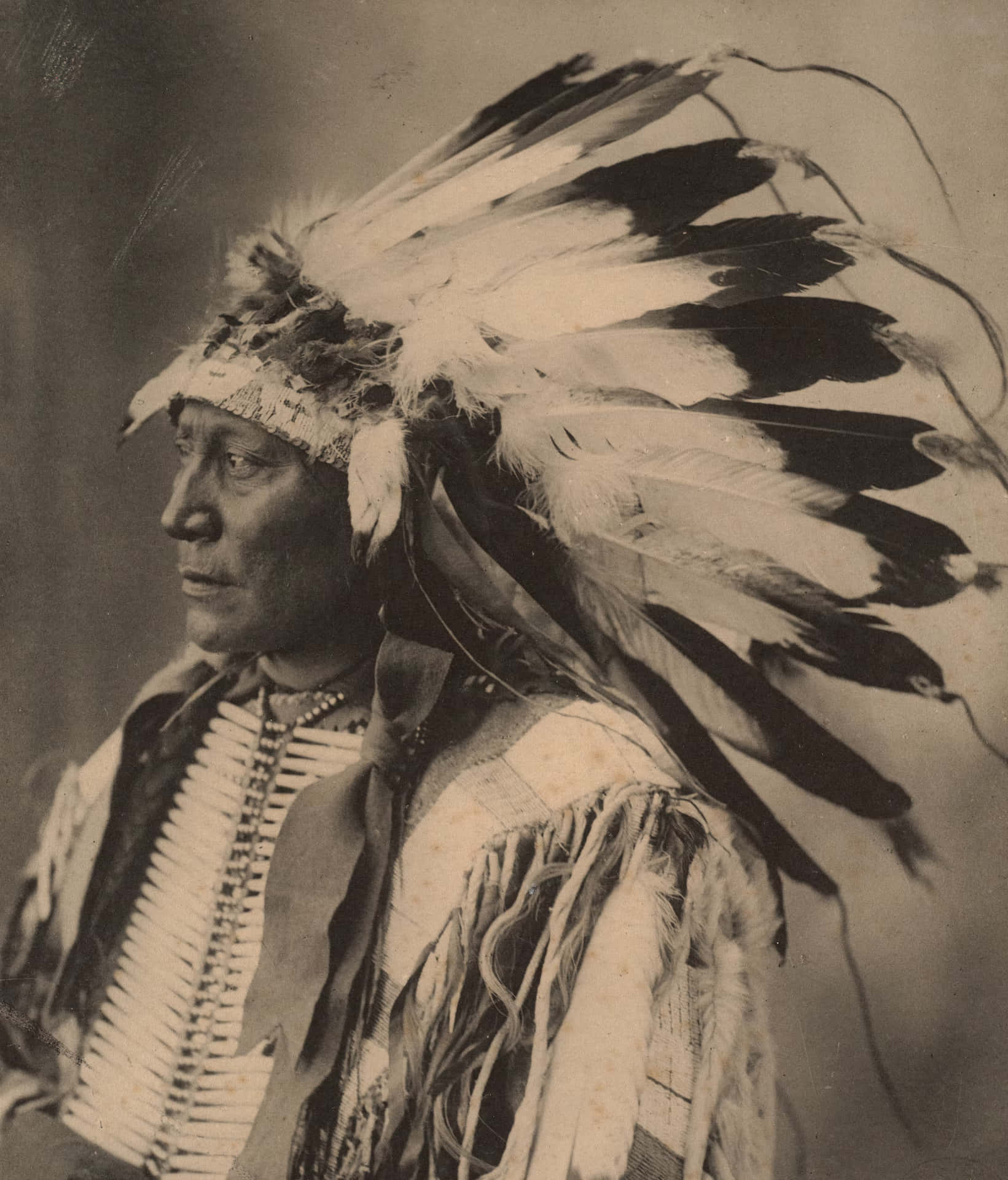Dignified Native Chief Holding Eagle Horn Wallpaper