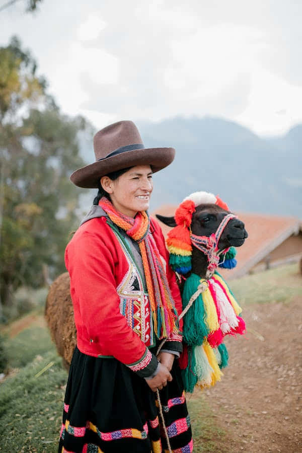 Native Woman With Llama Wallpaper