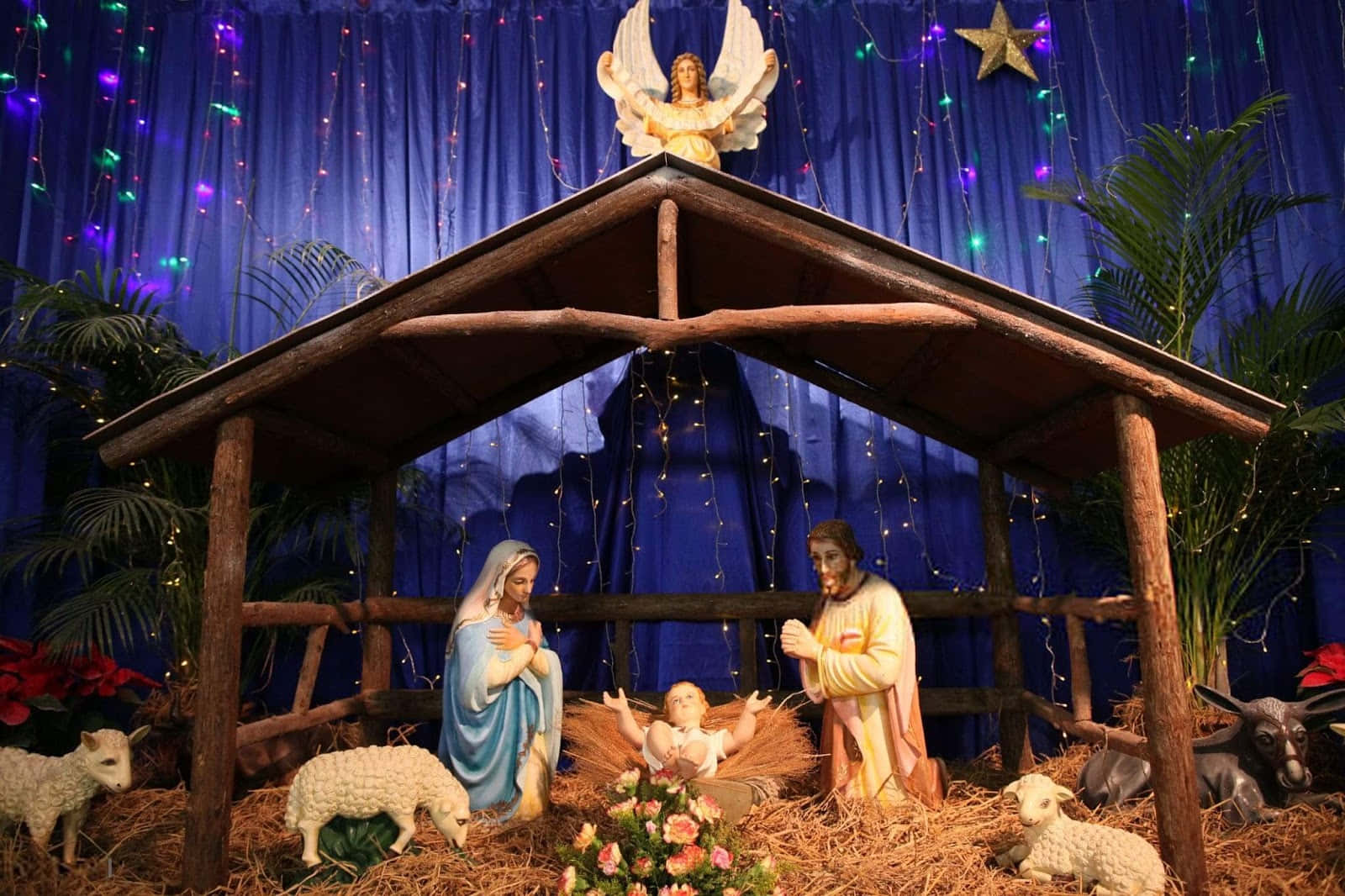 Nativityaf Jesus Fejret I Et Forbløffende Billede.