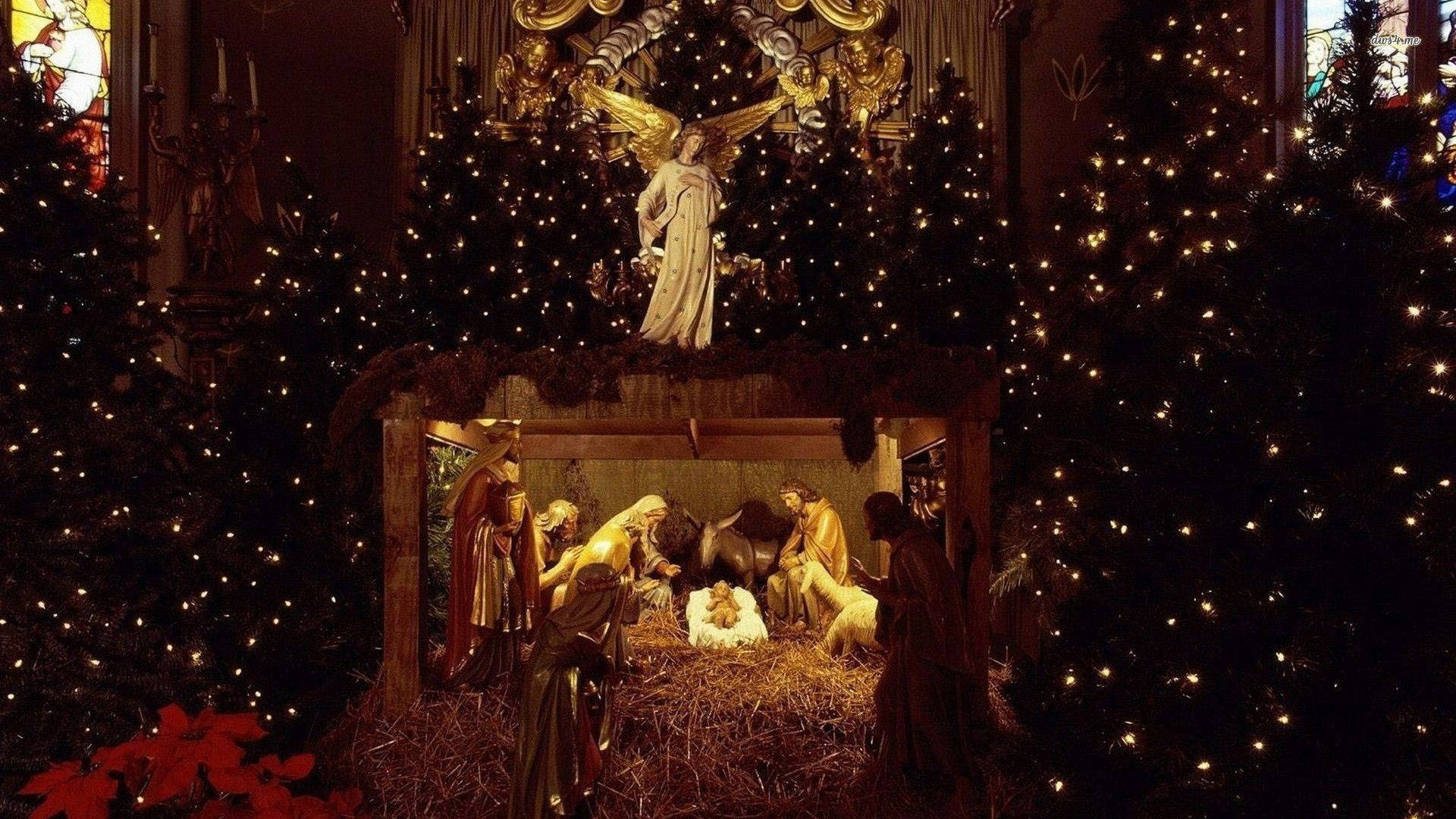 Nativity Scene Display Between Christmas Trees Wallpaper