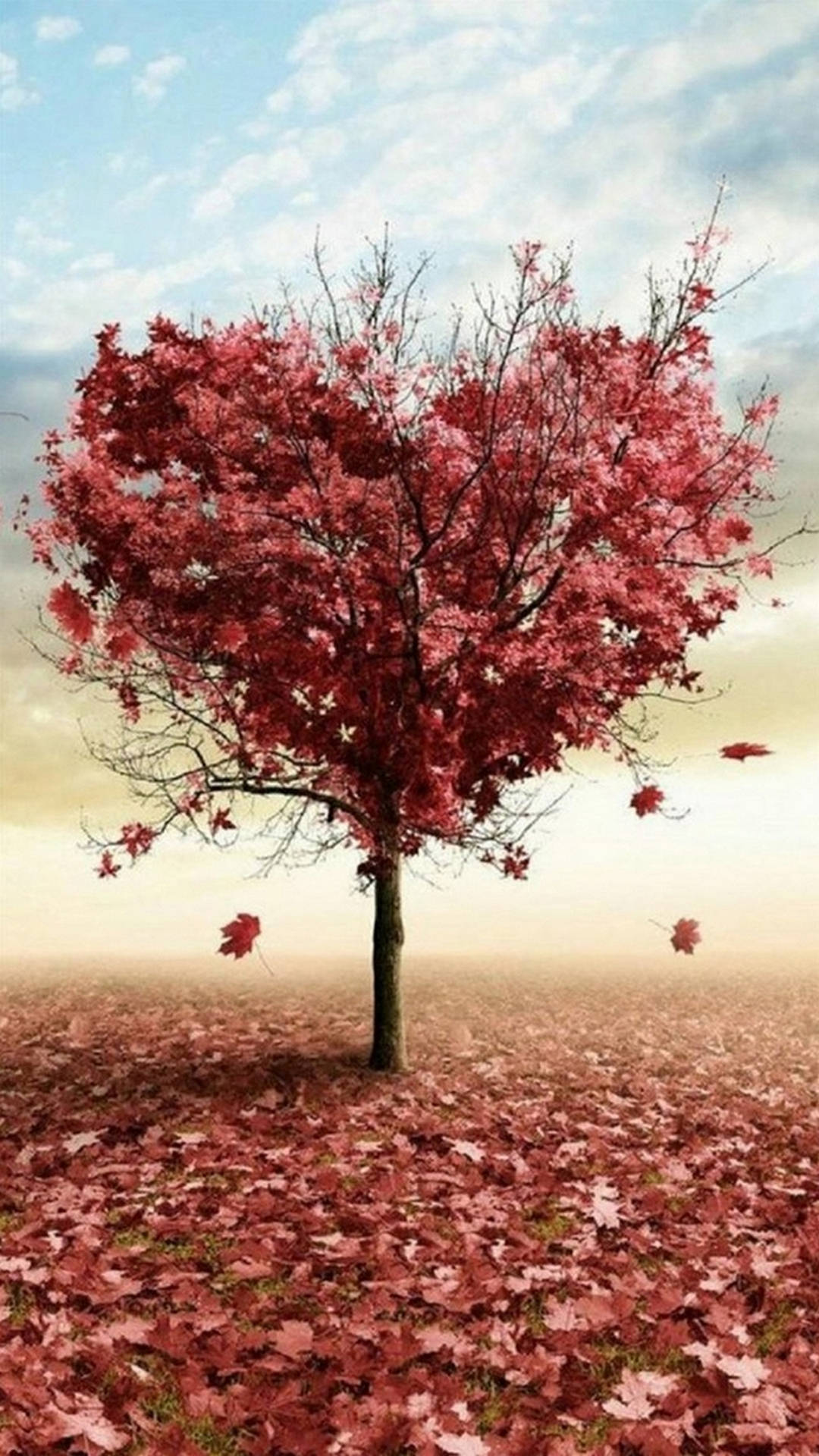 Natur Kærlighed Maple Tree Wallpaper