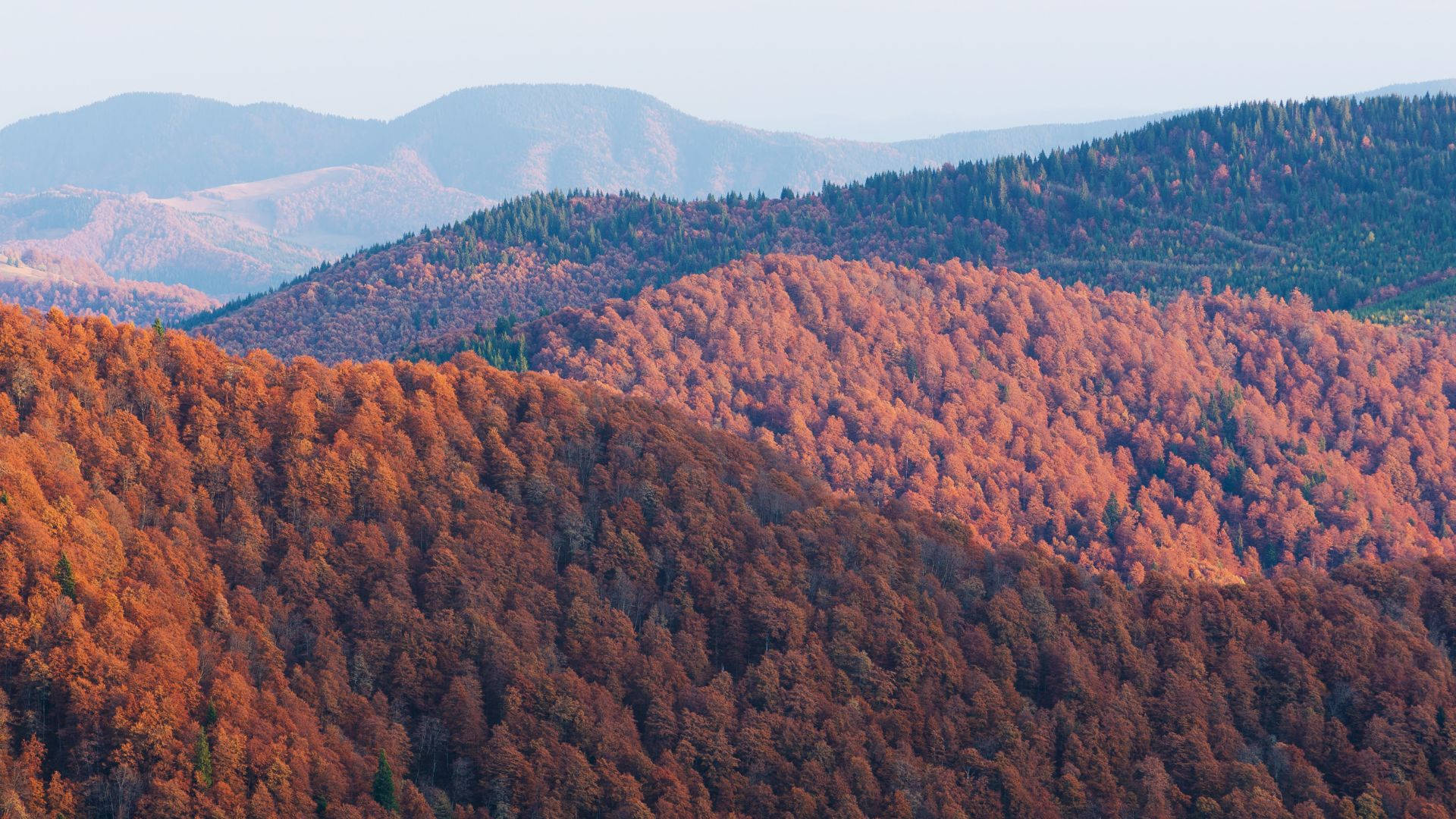 Natural Autumn Mountain Slope Wallpaper