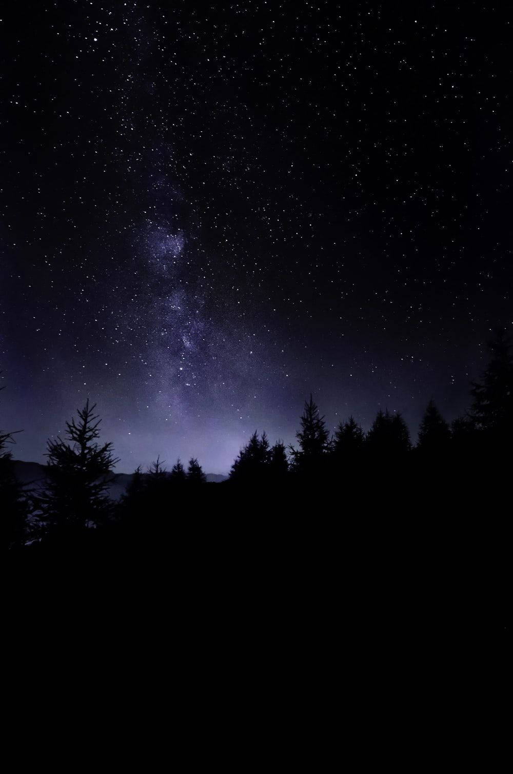Bosqueoscuro Natural Con Cielo Estrellado. Fondo de pantalla