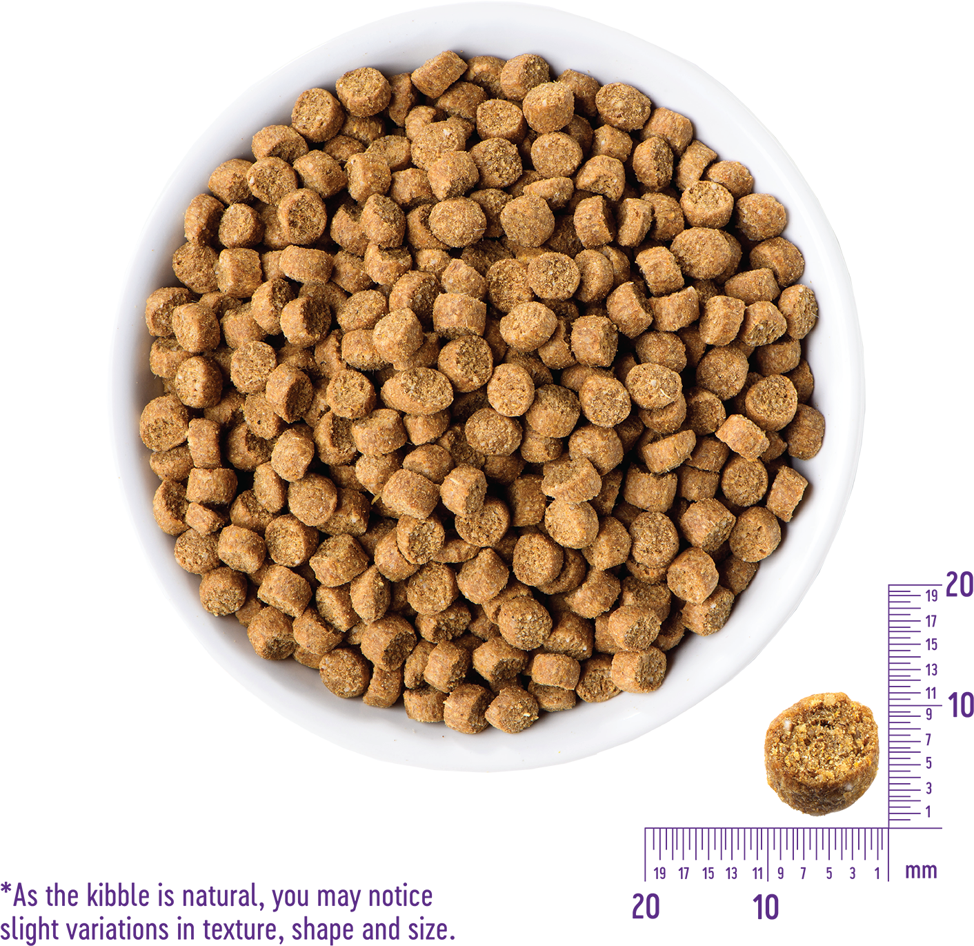 Natural Dog Kibble Textureand Size Variation PNG