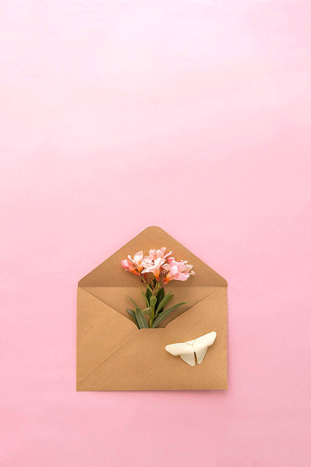 Natural Flower In An Envelope