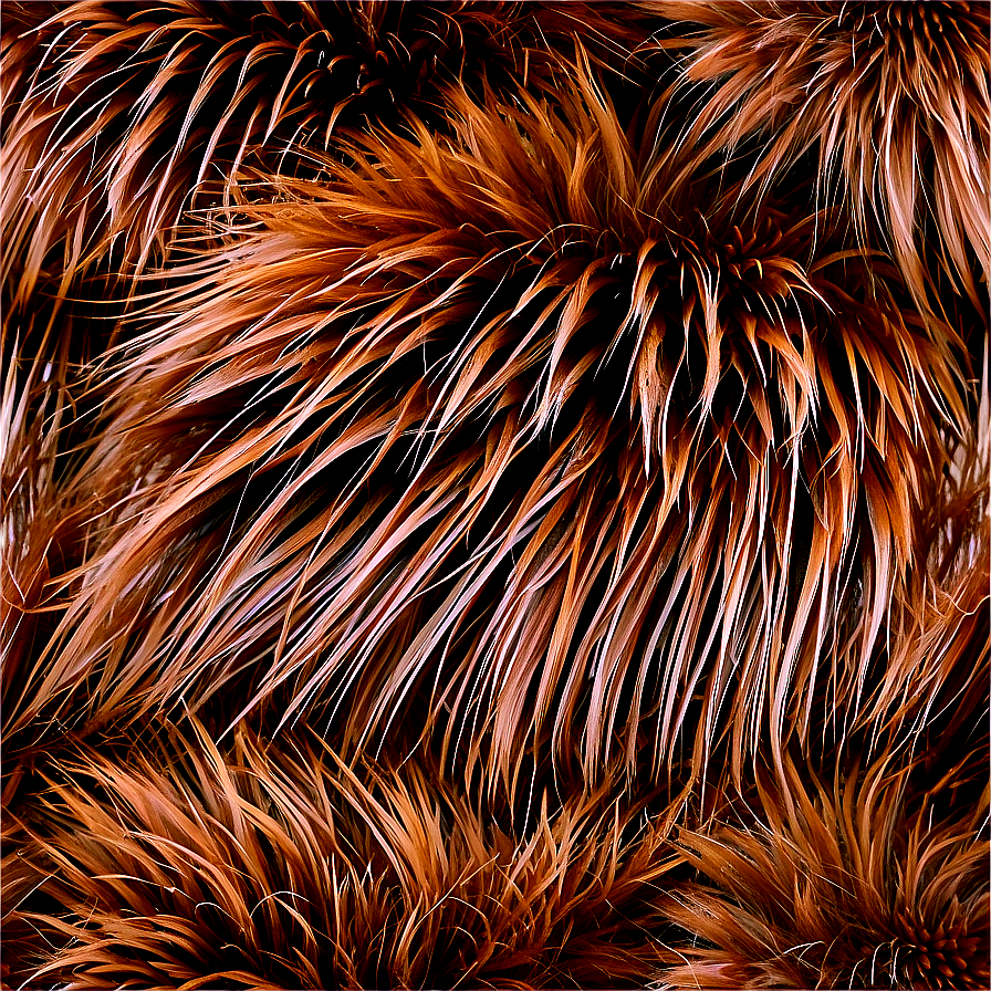 Natural Fur Texture Png Sup49 PNG