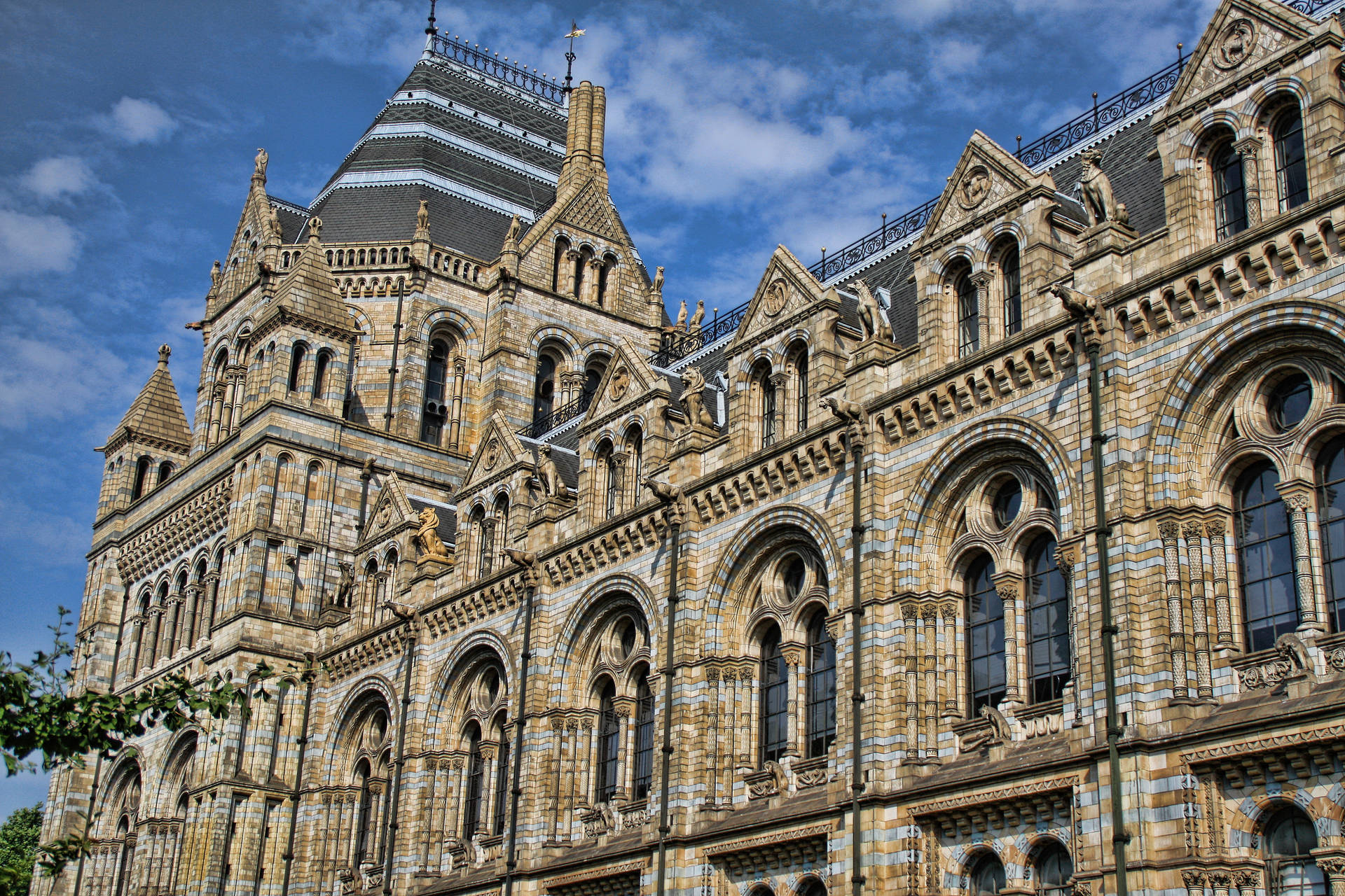 Natural History Museum England