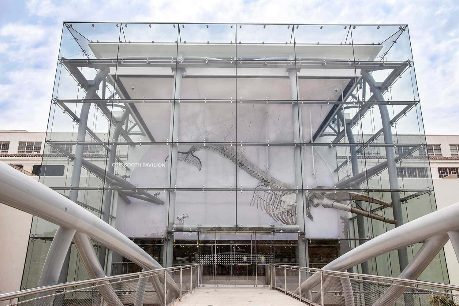 Natuurhistorisch Museum Los Angeles Otis Booth Pavilion Achtergrond