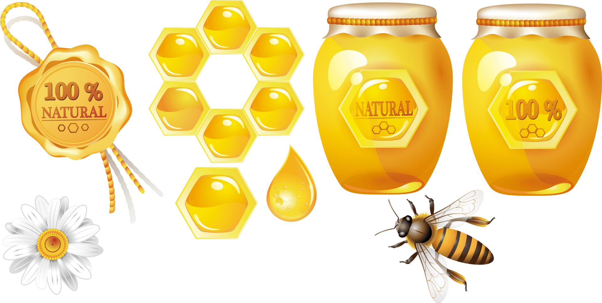 Natural Honey Themed Graphic Elements PNG