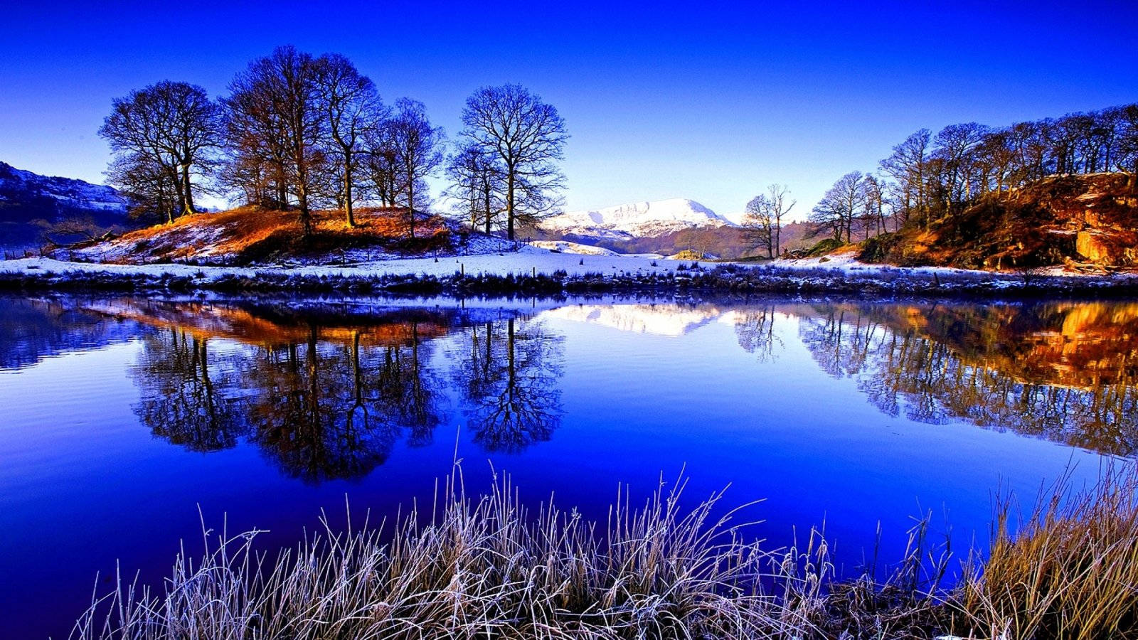 Lagonatural Con Árboles Durante El Invierno. Fondo de pantalla