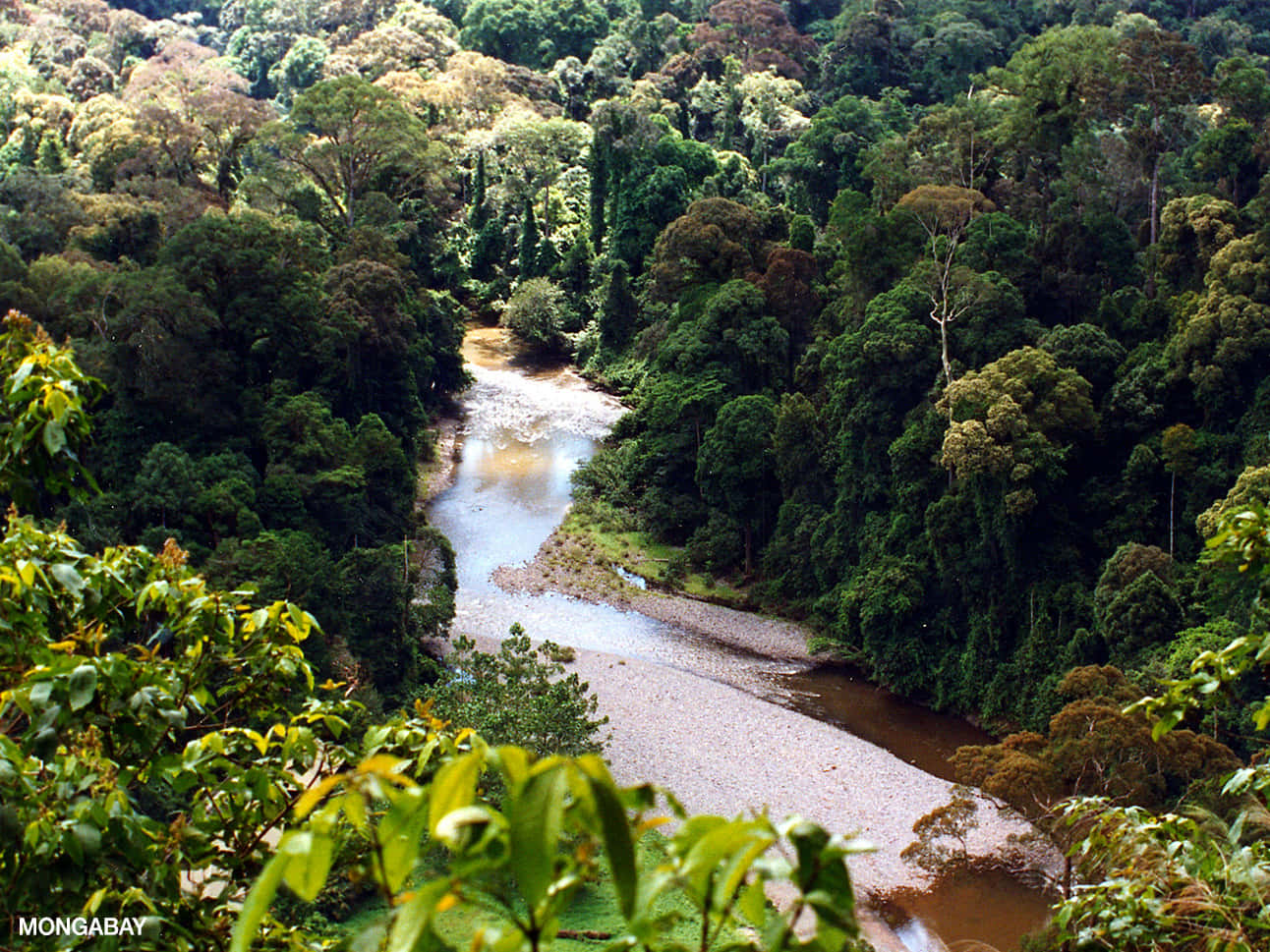 Imponentecordillera En La Naturaleza Salvaje