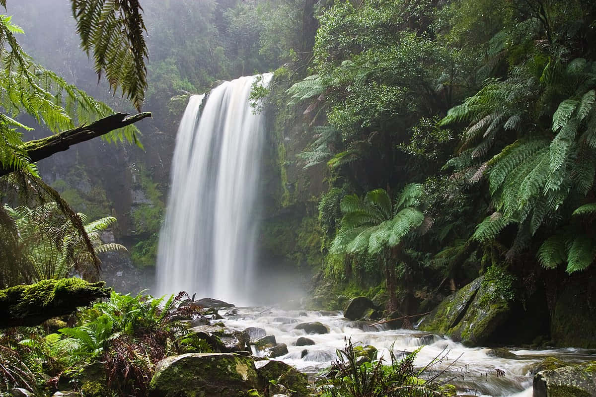 A Waterfall In A Lush Tropical Forest