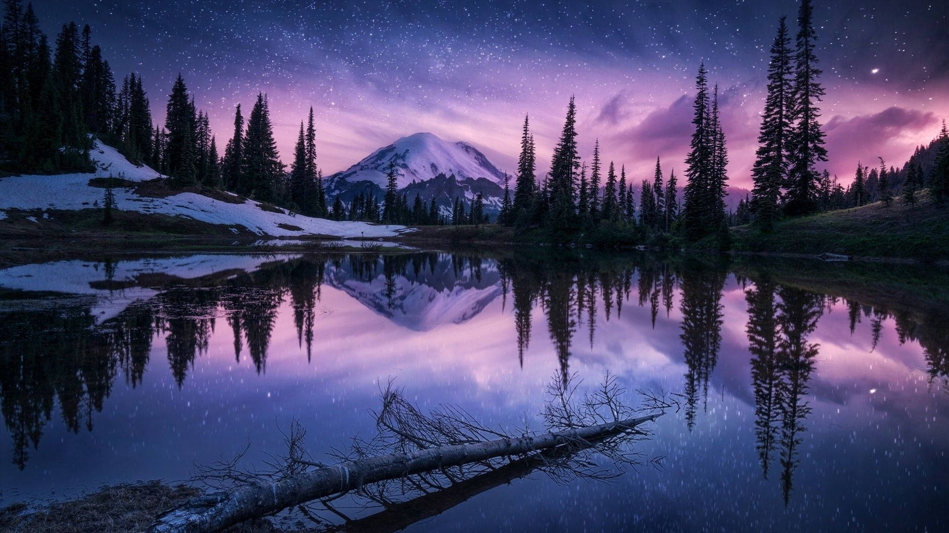 Naturlig lilla æstetisk sø i skov om natten Wallpaper