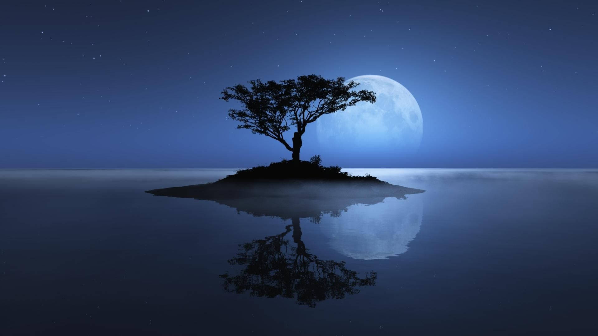 Natural Tree On Island During Full Moon Wallpaper