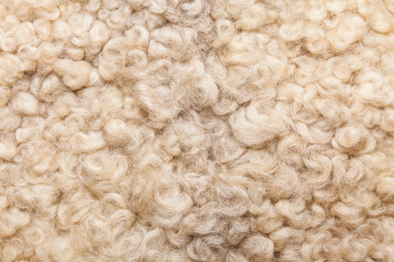 Natural Wool Texture Wallpaper