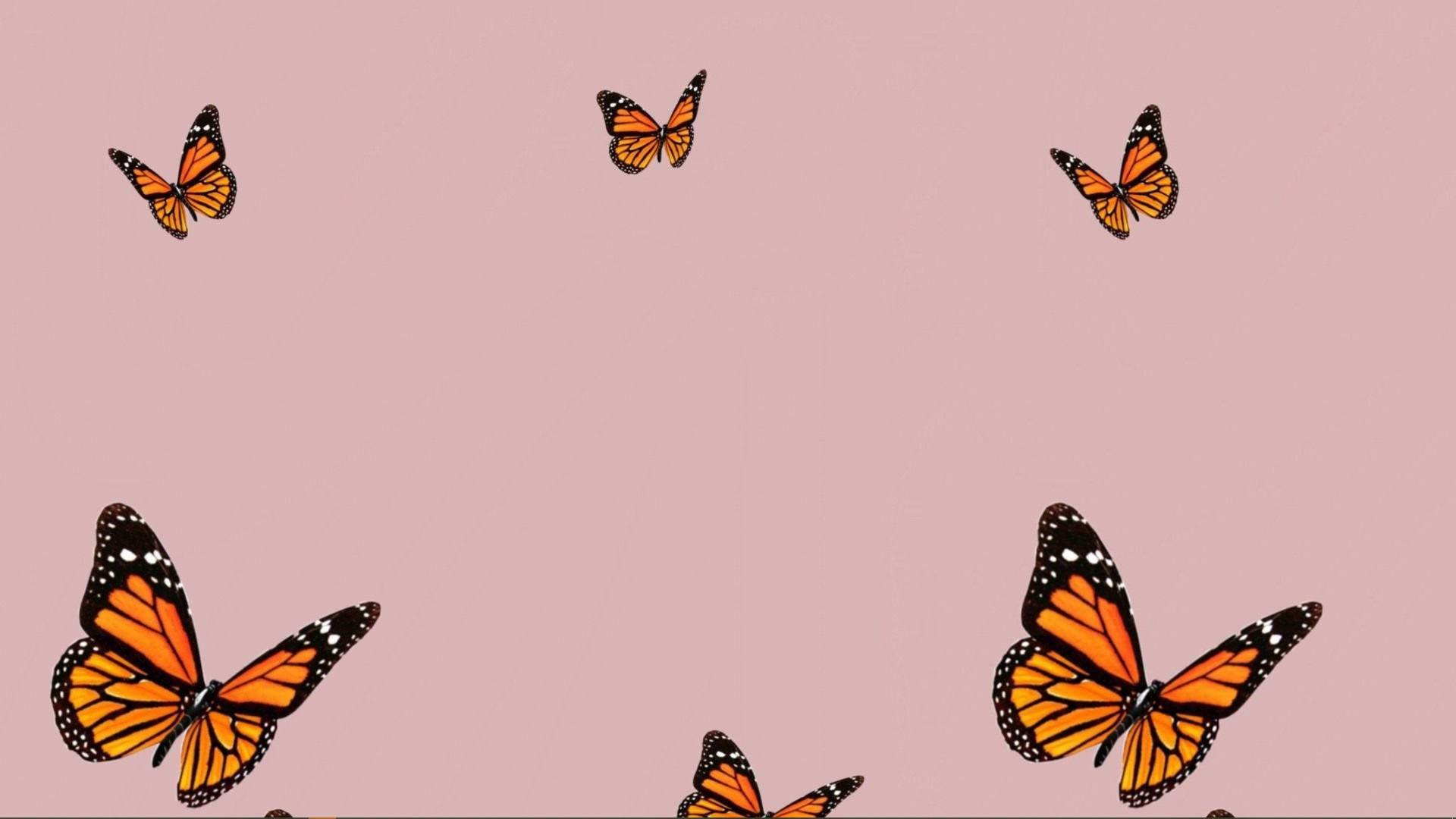 Naturästhetikorange Schmetterling Collage Für Den Computer Wallpaper