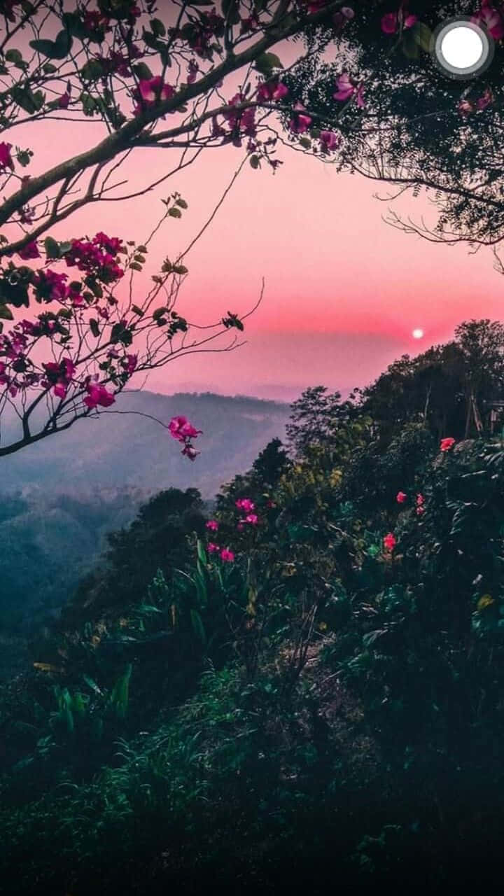 Mountain Forest With Pink Flowers Nature Aesthetic Phone Wallpaper
