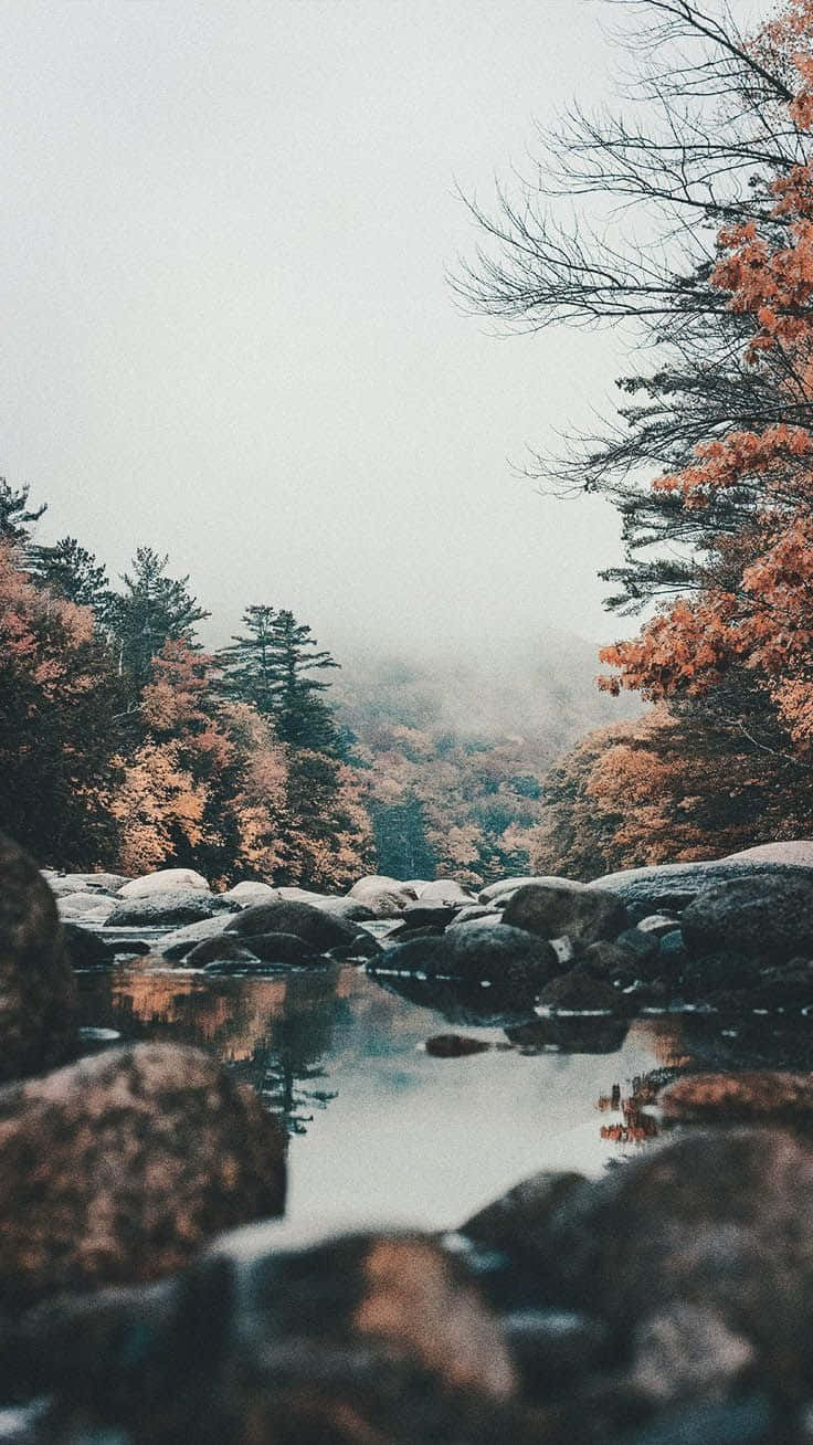 Herbstam Felsigen Fluss - Natürliches Ästhetisches Handy-hintergrundbild. Wallpaper