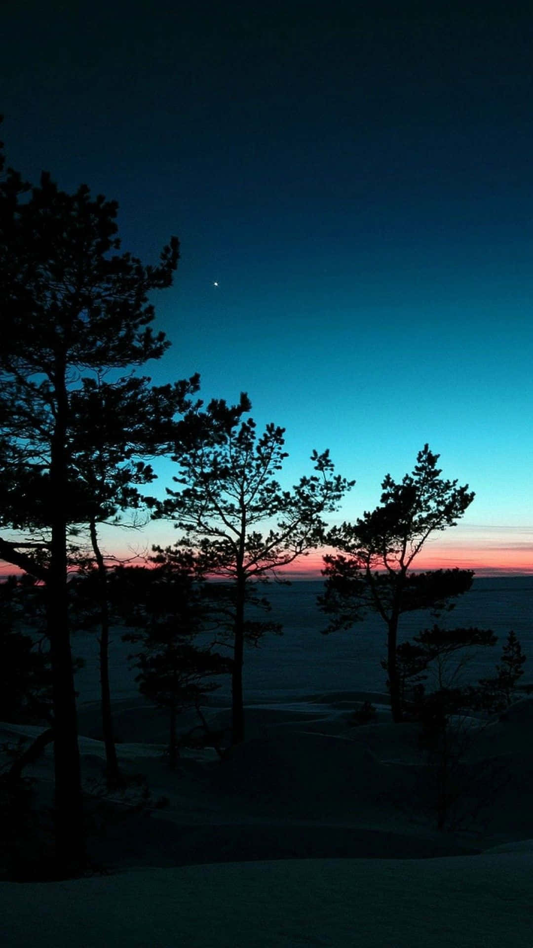 Pine træer Silhouette Nature Android HD Wallpaper Wallpaper