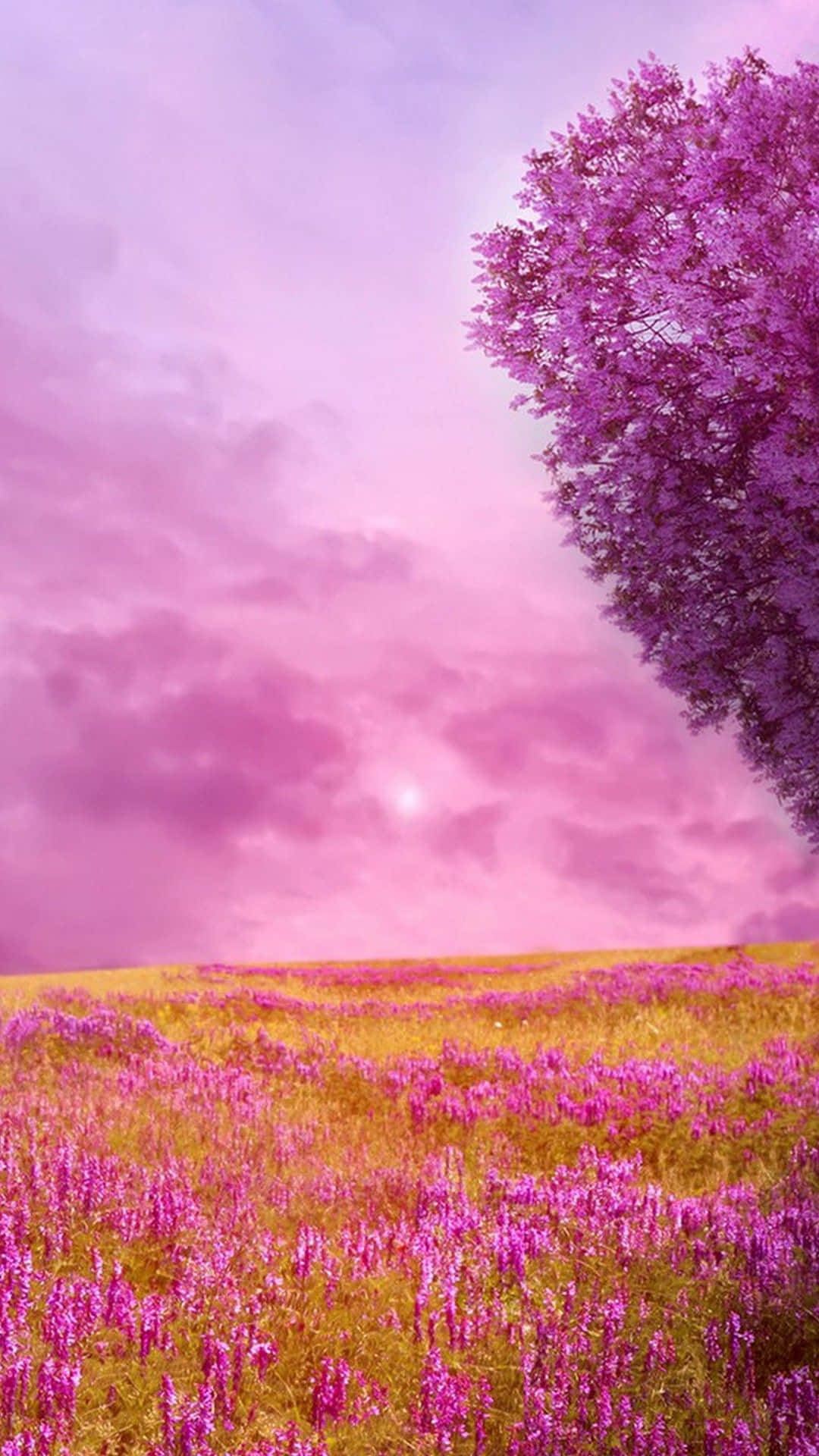 Free download Hello Spring Wallpaper For Android 2019 Android Wallpapers  1080x1920 for your Desktop Mobile  Tablet  Explore 57 Springwallpaper   Spring Background Backgrounds Spring Wallpaper Spring