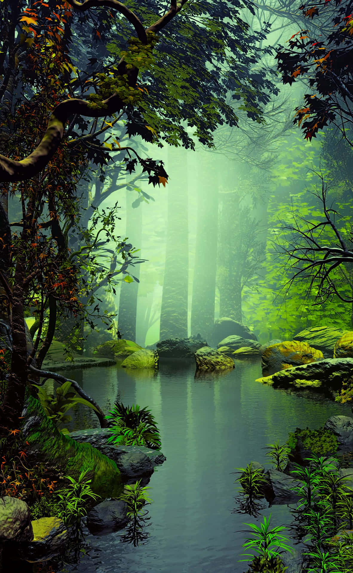 Enchanting Forest Nature Android HD Wallpaper