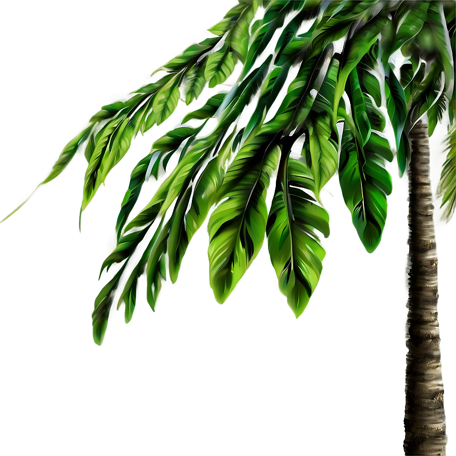 Nature B PNG