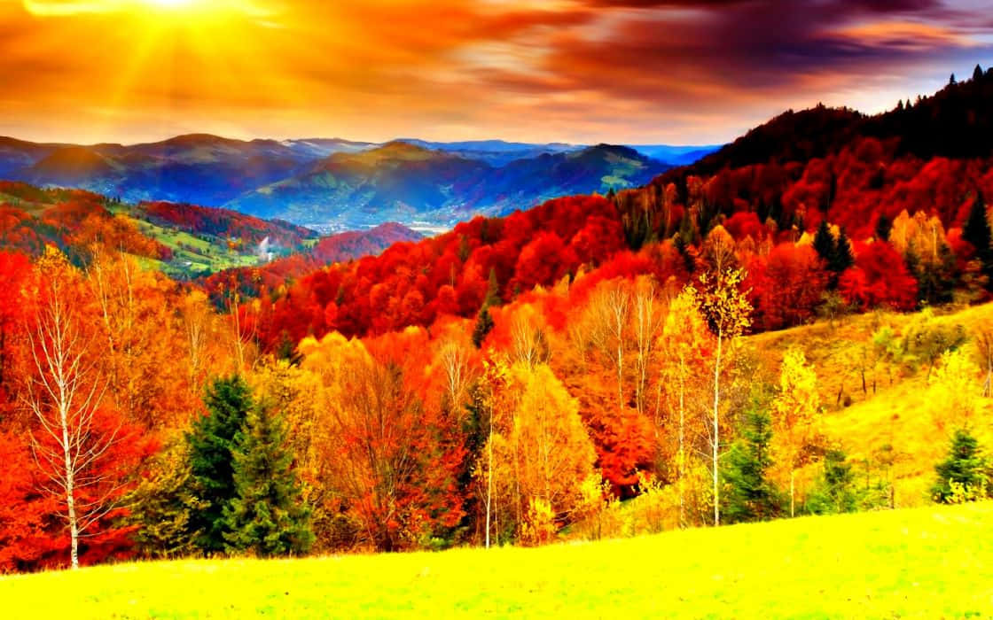 This scenic image of the fall season in nature displays vivid imagery of the autumn season.