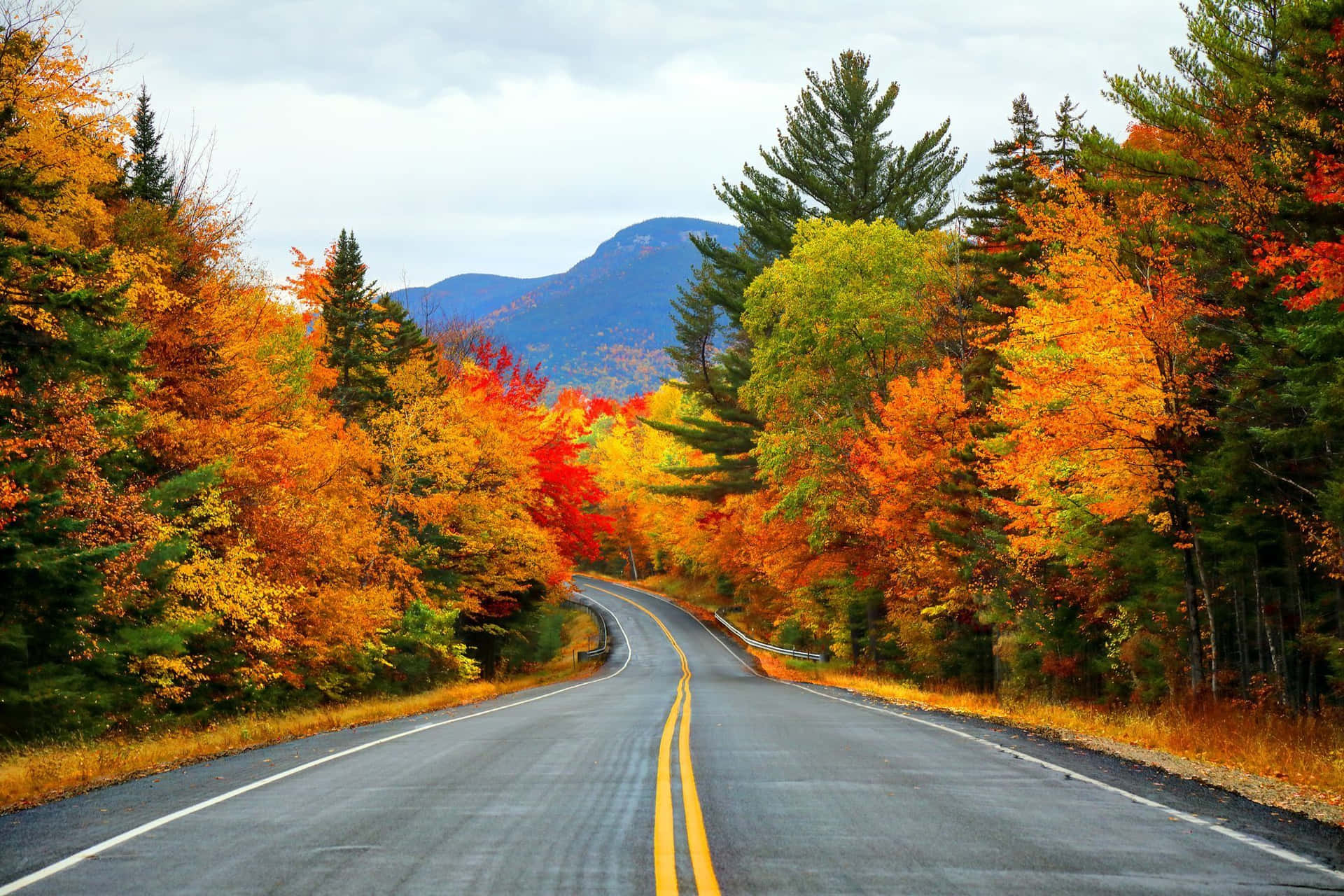 Take a breather in the beauty of nature this fall