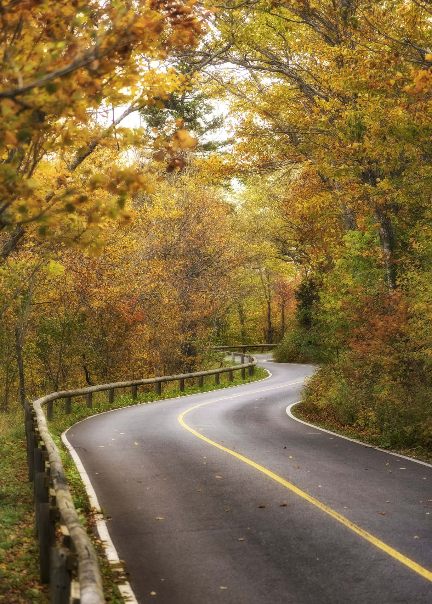 A Curvy Road In The Fall With Trees In The Background