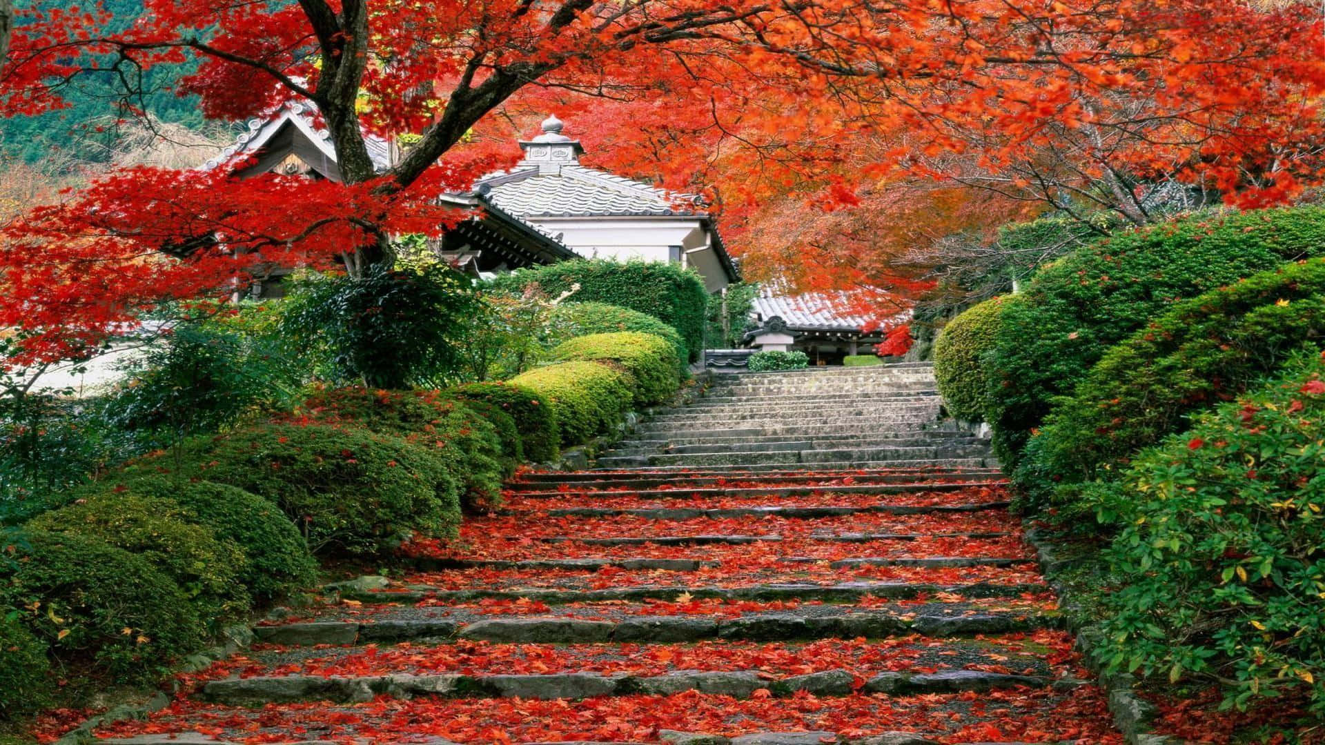 A Red Stairway Leading To A Garden