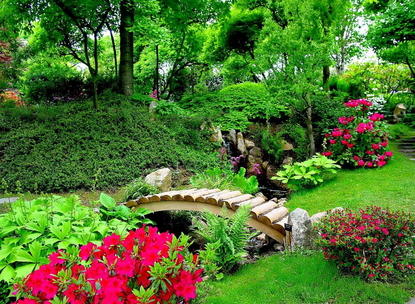 Feel the serenity of Nature in a Garden