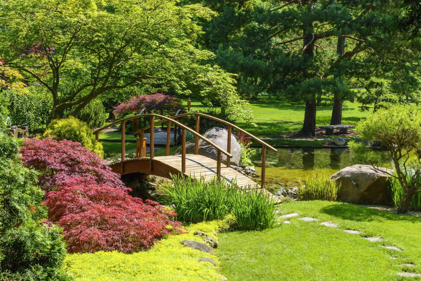 Esplorala Bellezza Di Un Giardino Naturale