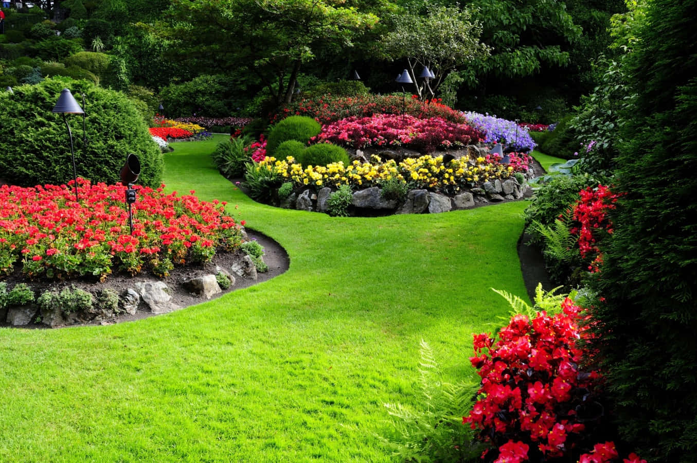 Experience the wonders of nature in this beautiful garden