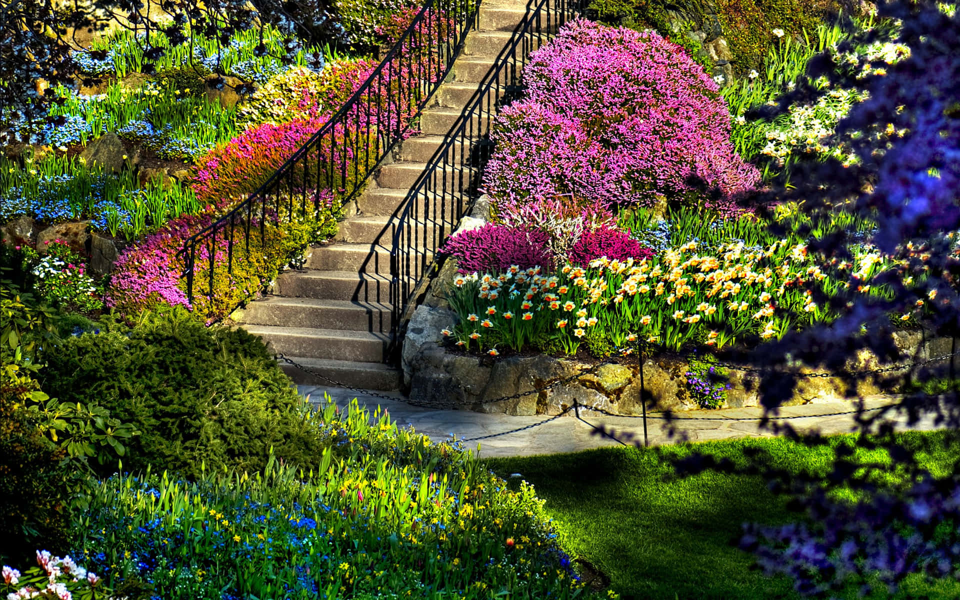A Garden With A Stairway