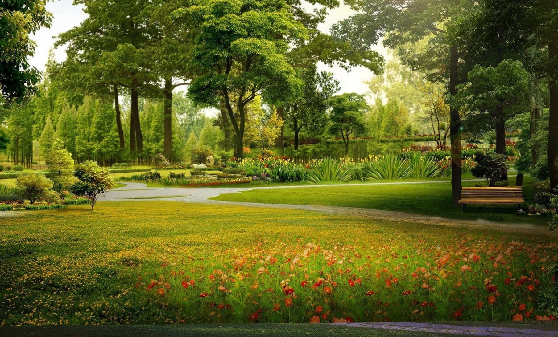 A Park With Trees And Flowers