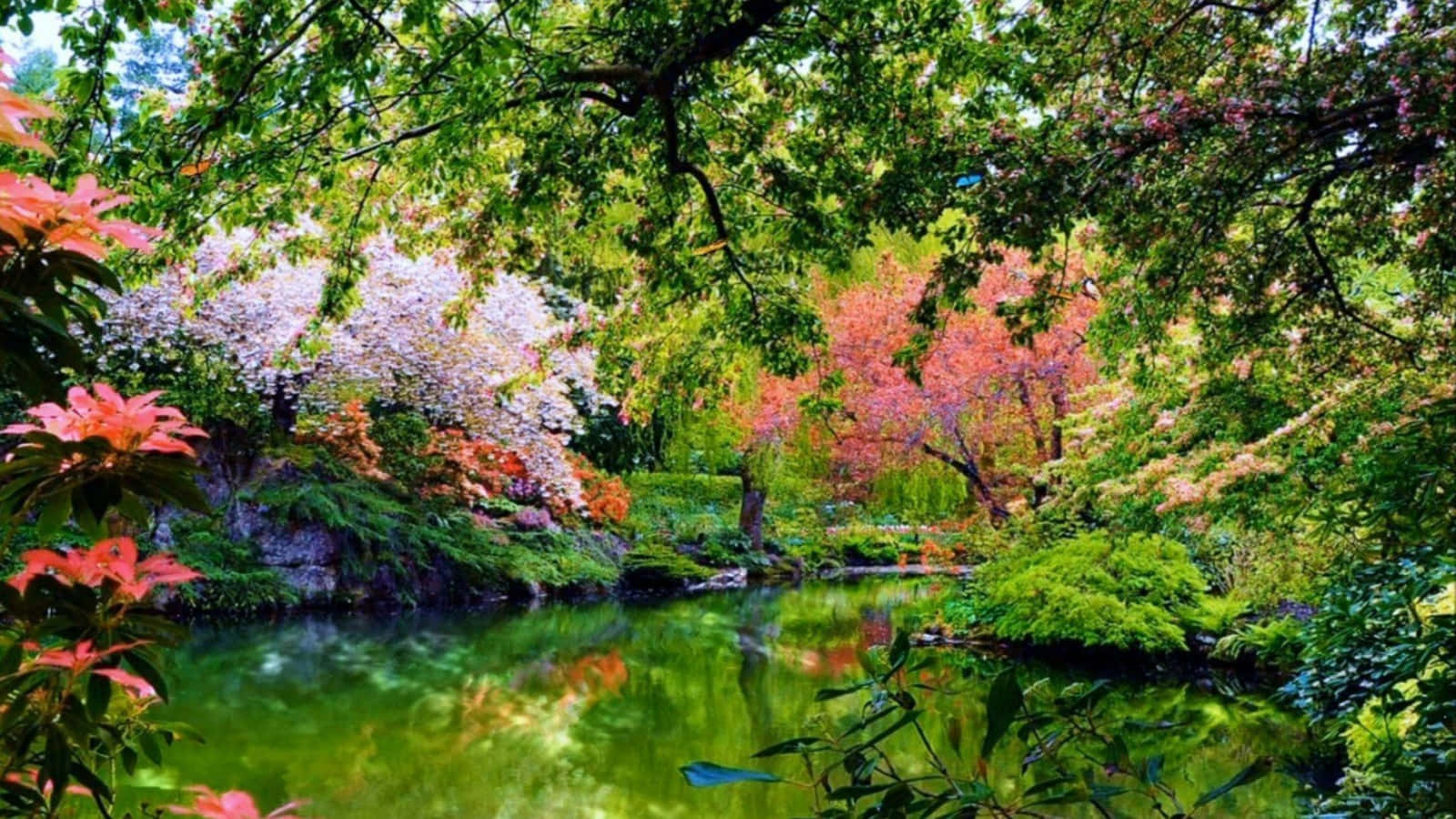Enjoy the tranquility of Nature in a Garden