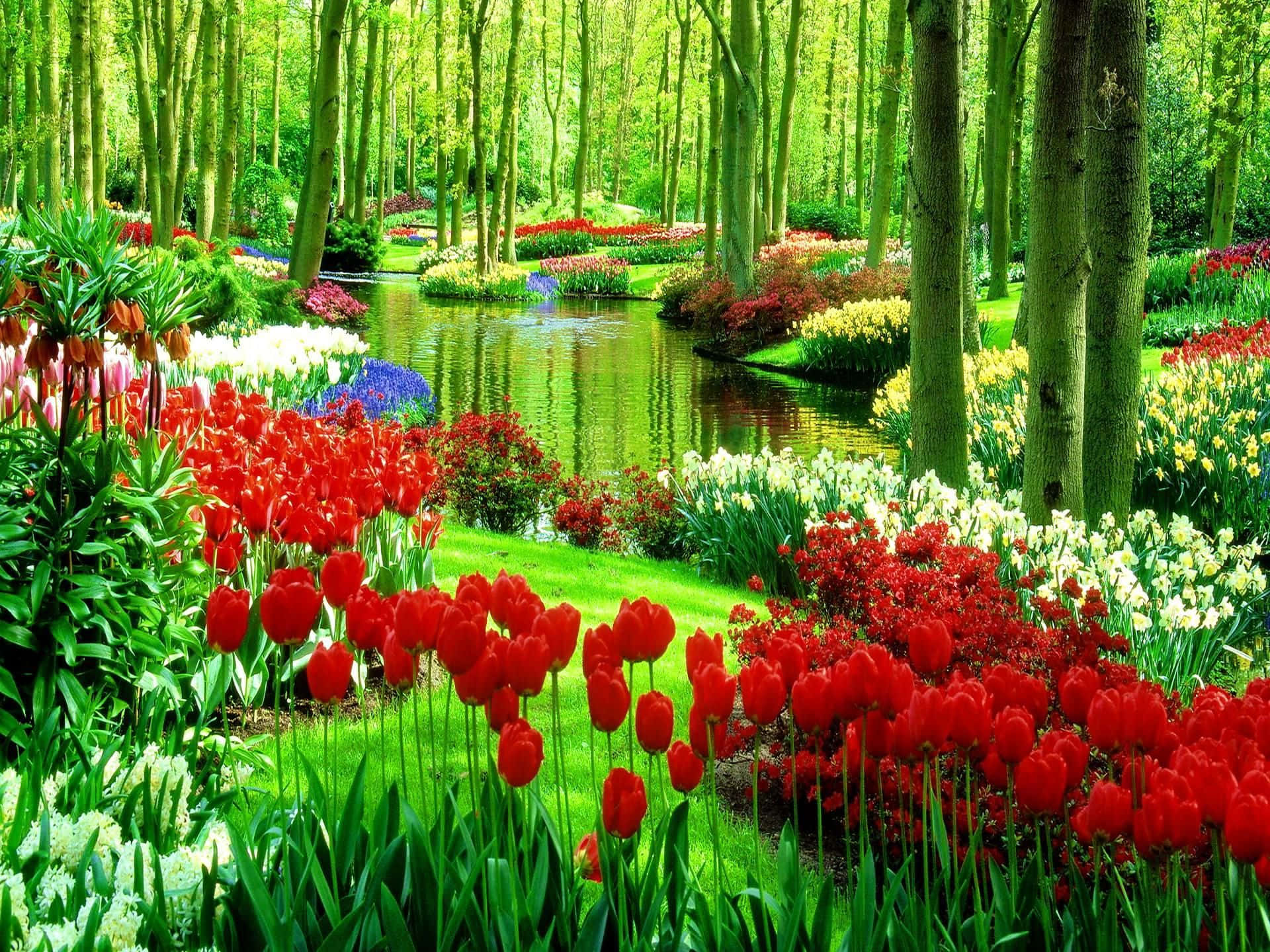 A Beautiful Garden With Red Tulips And Trees