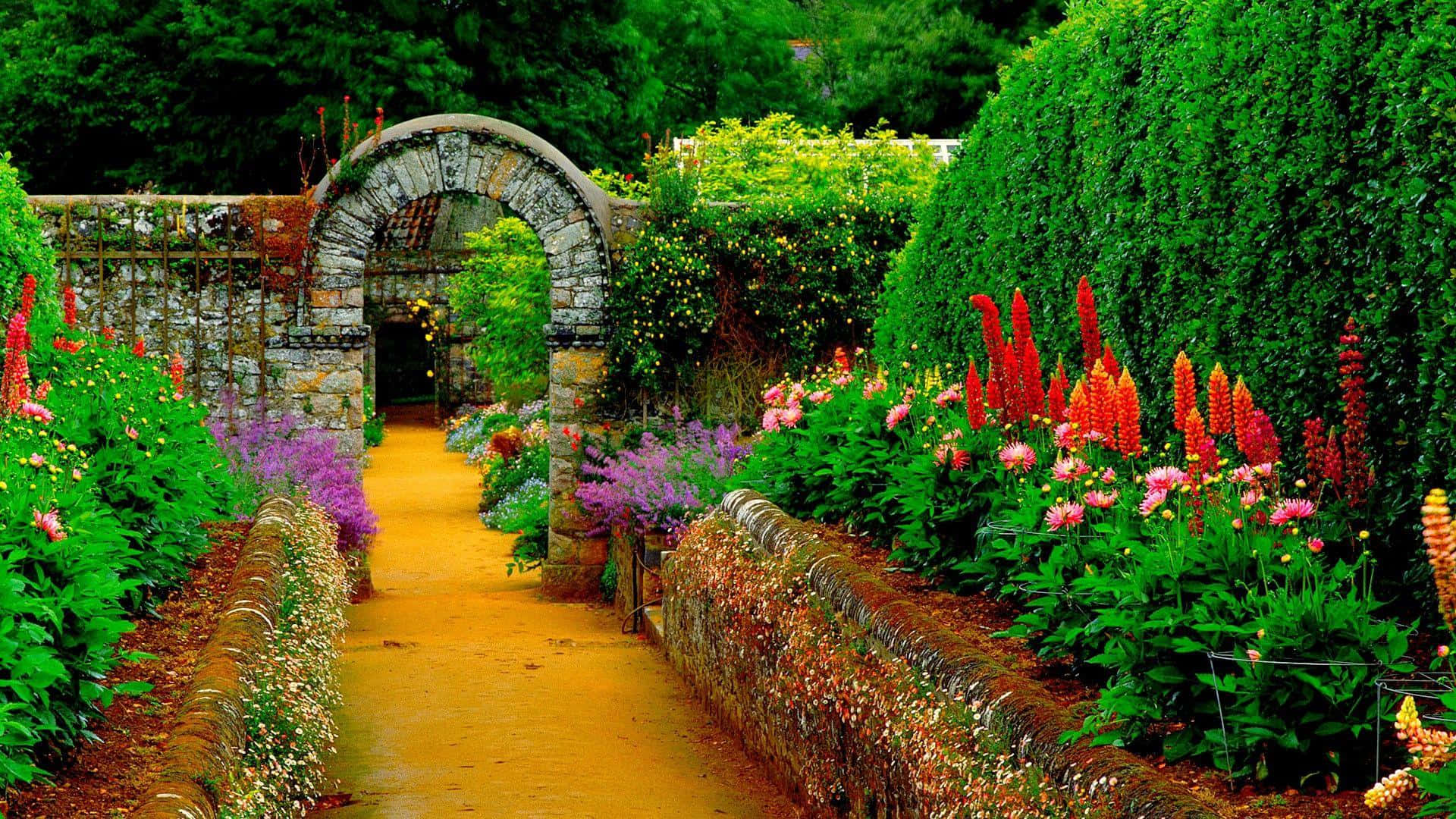 A Pathway With Flowers And Bushes