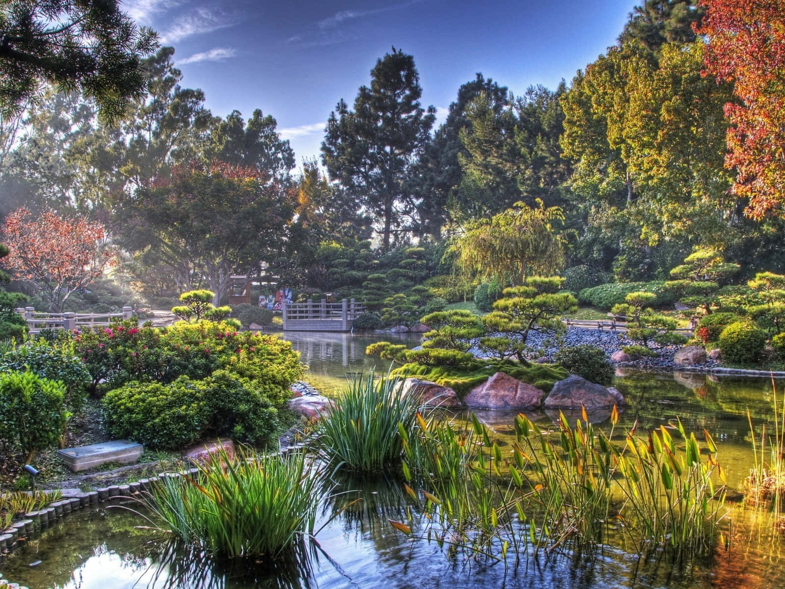 Explore Nature’s Beauty - Take in the Wonders of a Garden.